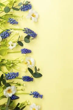 Spring flowers composition. Frame made of muscari and wild flowers on pastel  Stock-Fotos