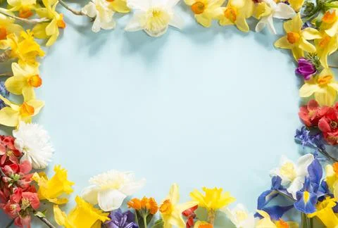 Spring flowers composition 스톡 사진