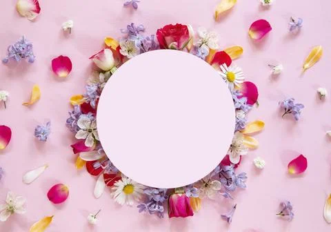 Spring flowers composition 库存照片