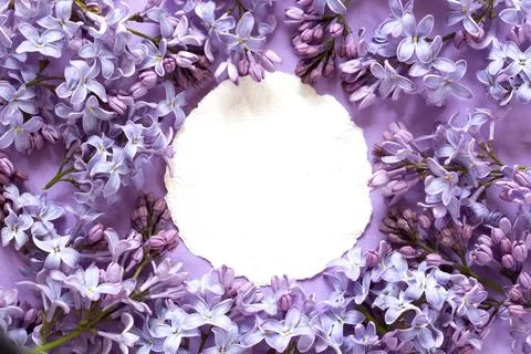 Spring flowers composition 스톡 사진