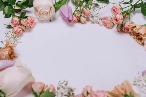 Spring flowers composition on white background. gillyflower, carnation, rose, 写真素材