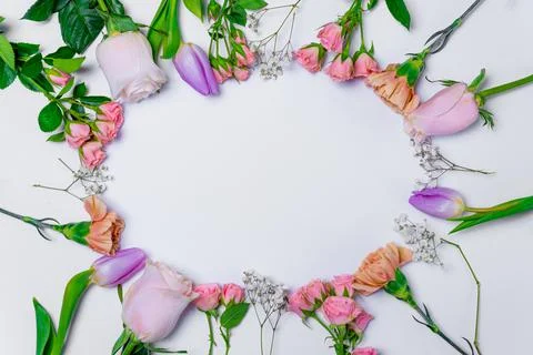 Spring flowers composition on white background. gillyflower, carnation, rose, Stock Photos