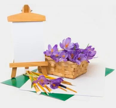 Spring flowers crocus in basket. Stock Photos