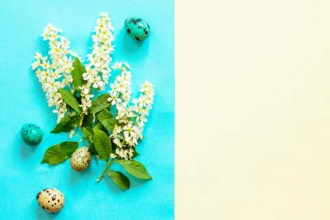 Spring flowers, Easter eggs on a blue and yellow background. Stock-Fotos