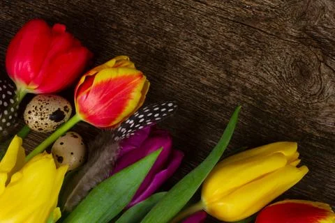 Spring flowers with easter eggs Stock Photos