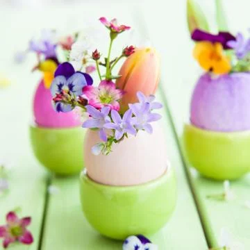Spring flowers in easter eggs Stock Photos