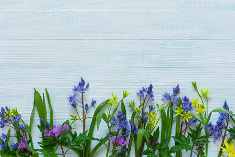 Spring flowers flat layout Stock Photos