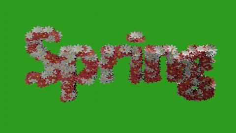 Spring flowers flying 3d animation with green screen background in 2022 Stock Footage 169672046