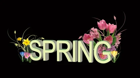 Spring flowers Stock Footage 1021504