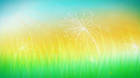 Spring Flowers Stock Footage 50759277