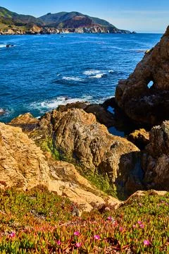Spring flowers in foreground with cliffs and ocean waves meeting Stock-Fotos