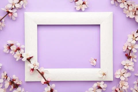 Spring flowers frame on purple background. Spring season, Nature floral backg Stock Photos