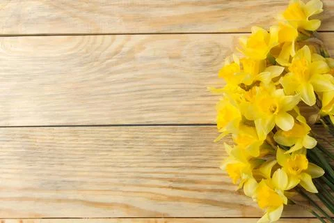 Spring flowers, frame of yellow daffodils on a natural wooden background. pla Stock Photos