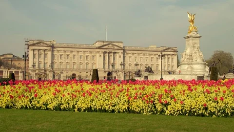 Spring flowers in front of Buckingham Palace Stock Footage 109478563
