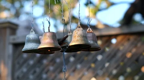 SPRING FLOWERS IN GARDEN Stock Footage 63213118