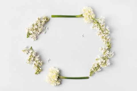 Spring flowers on gray background Stock Photos