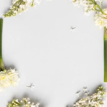 Spring flowers on gray background Stock Photos