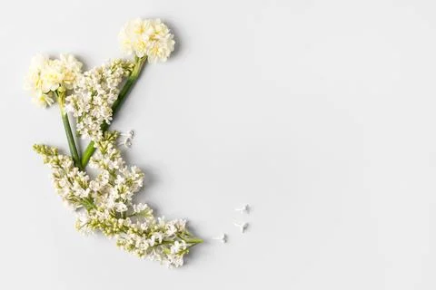 Spring flowers on gray background Stock Photos