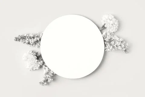 Spring flowers on gray background Stock Photos