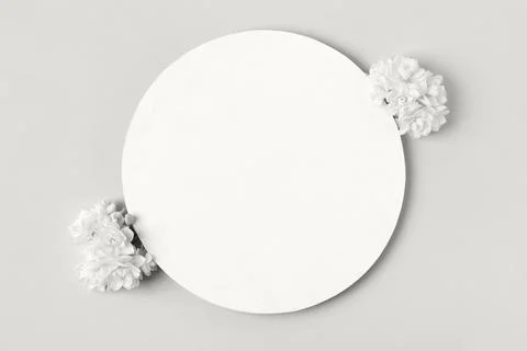 Spring flowers on gray background Stock Photos