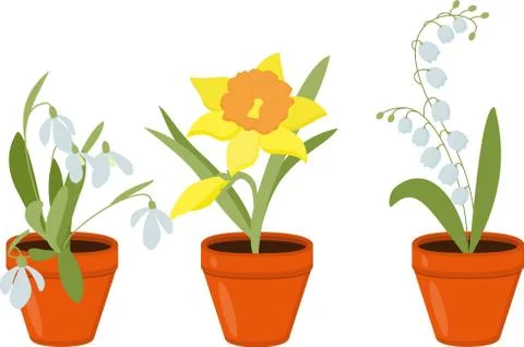 Spring flowers growing in the pods. Vector Illustration. Stock Illustration