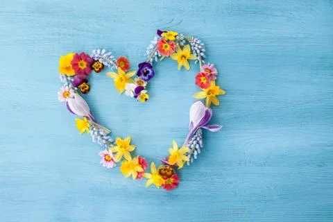 Spring flowers in a hearts shape Stock Photos