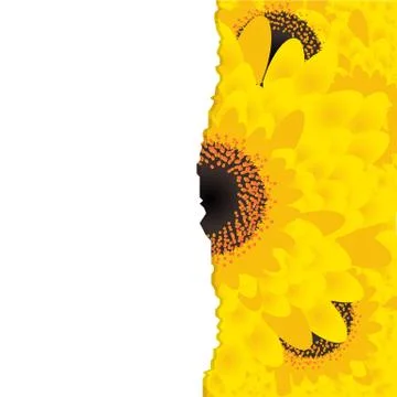 Spring flowers Stock Illustration