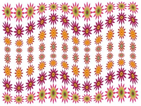 Spring flowers Stock Illustration