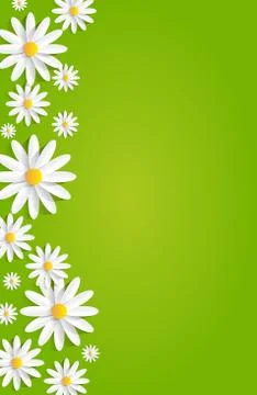 Spring Flowers Stock Illustration
