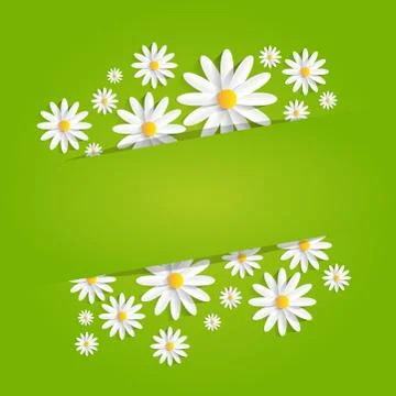Spring Flowers Stock Illustration