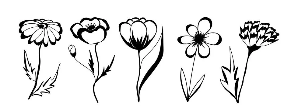 Spring flowers Illustrazione stock