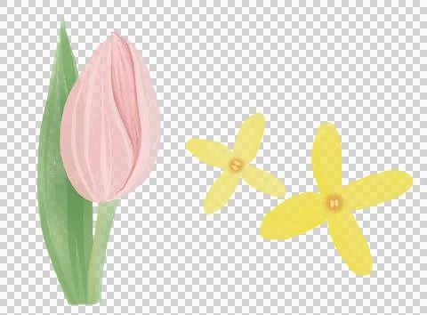 Spring flowers Stock Illustration