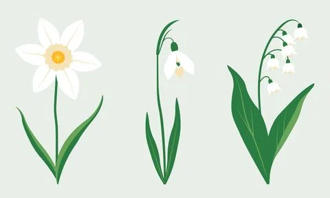 Spring flowers Stock Illustration