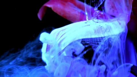 Spring Flowers In Inspirational Fast Motion With Fog Effect Stock Footage 105016202