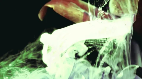 Spring Flowers In Inspirational Fast Motion With Fog. Ice And Fire Stock Footage 105018189