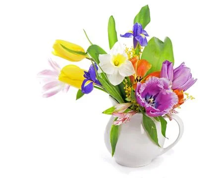 Spring flowers isolated on a white background Stock Photos