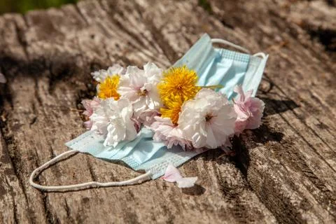 Spring flowers lie inside a protective individual medical mask on a wooden backg Stock Photos