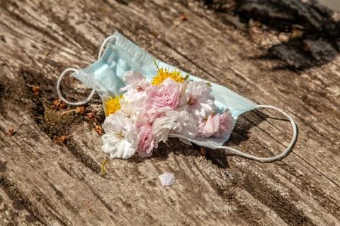 Spring flowers lie inside a protective individual medical mask on a wooden backg Stock Photos