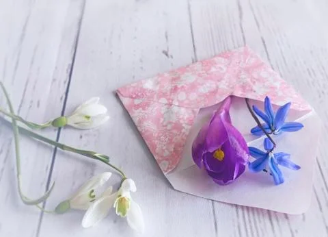 Spring flowers on light background and envelope. Stock Photos