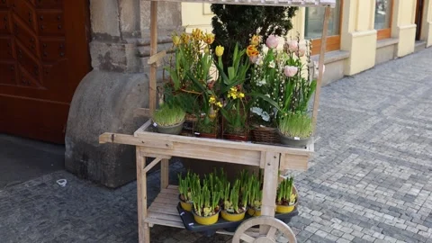 Spring flowers market stand Easter decor Stock Footage 331812104