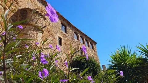 Spring flowers on medieval building wall background Stock Footage 118195713