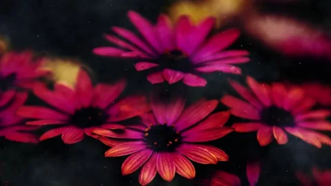Spring Flowers Motion Background Stock Footage 148247705