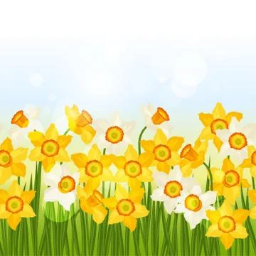 Spring flowers narcissus seamless pattern horizontal border Illustrazione stock