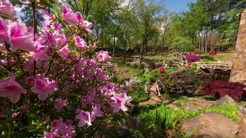 Spring flowers at the Old Mill Vídeo Stock 221788621