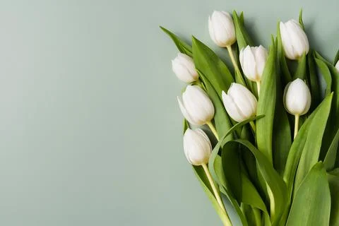 Spring flowers on a pale green background. Greeting card with place for text Stock Photos