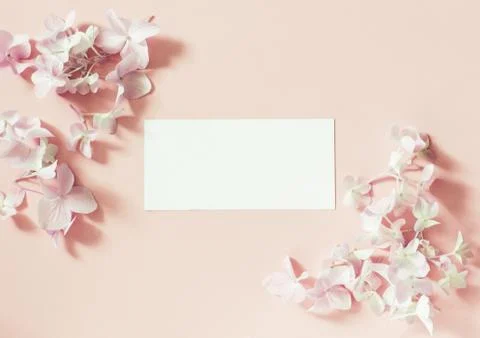 Spring flowers on pastel background with empty note Stock Photos