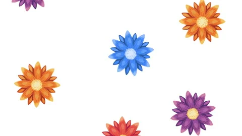 Spring flowers pattern animation Stock Footage 176291561