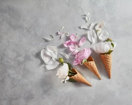 Spring flowers pattern with pink, white peony , petals on a gray stone table. Foto stock