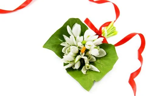 Spring flowers Stock Photos