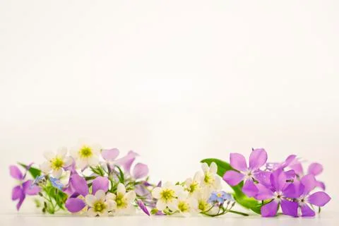 Spring flowers Stock Photos